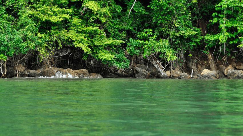 Hotel Sierpe River Ngoại thất bức ảnh