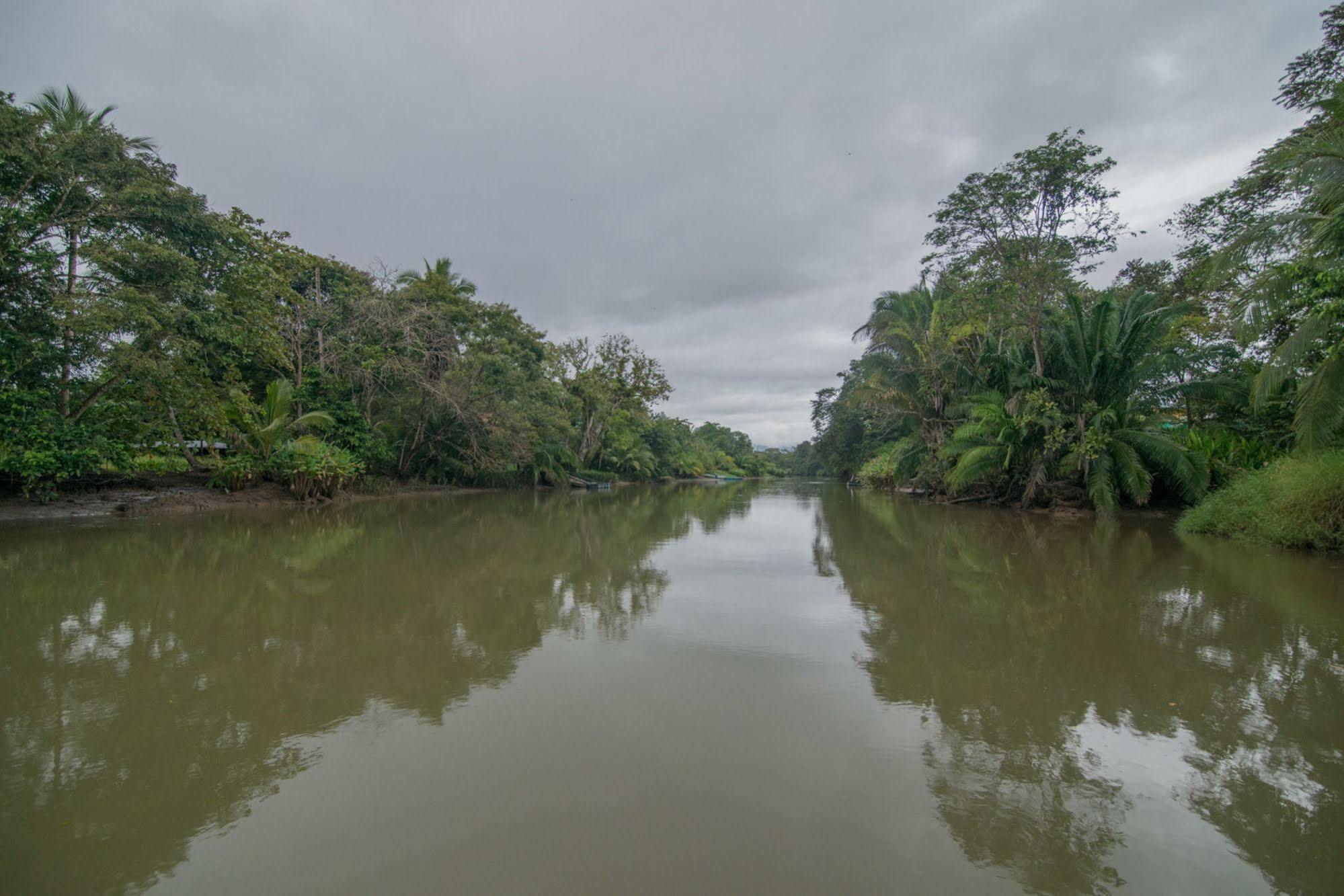 Hotel Sierpe River Ngoại thất bức ảnh